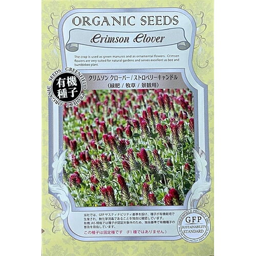 有機 クリムソンクローバー 種 【 ストロベリーキャンドル 】 小袋 ( 有機 クリムソンクローバーの種 )のサムネイル