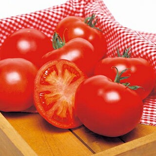 大玉トマト 種 【 ホーム桃太郎EX DF 】 小袋(29粒) ( 大玉トマトの種 )