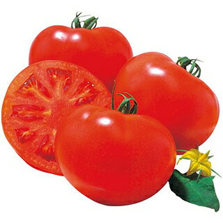 大玉トマト 種 【 桃太郎8 】 100粒 ( 大玉トマトの種 )