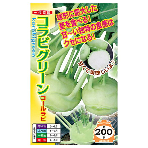 メール便で10袋まで同梱できます。 種子と責任種子は努めて純良なものをご用意しておりますが、商品の性質上100%の純度や発芽は望めません。商品の包装等に記載のある、発芽試験結果を満たした商品をお届けいたします。発芽は播種後の条件により結果が異なるため、温度や水分などを品目ごとに適した条件下で管理してください。不適条件下では発芽しないことがあり、また100%同一ではなく、まれに異株が出る場合がございます。種子・苗などについて、発芽後および植えつけ後の栽培条件や天候などによって結果が異なりますので、商品の生長後や収穫物に対する補償はいたしかねます。また商品の性質上、結果不良につきましてはお買い上げ金額の範囲内とさせていただきます。(お客様の栽培管理や気象条件による結果不良につきましては、その責任を負いかねます)独自に加工されたものや、お届け後に有効期限を超えられたものにつきましては責任を負いかねます。野菜などの収穫物については、品種の特性や栽培条件などにより生育に差が生じることがあり、収穫物のサイズ、重量、味などは掲載表現と異なる場合がございます。コールラビ知名度は低いけどおいしい野菜コールラビはアブラナ科の野菜でキャベツの仲間。地中海沿岸生まれの野菜で、根元の肥大した茎の部分を食用とします。名前の由来はコール＝キャベツ＋ラビ＝カブで、キャベツカブという意味。食味は柔らかくて美味しい「ブロッコリーの芯」のような感じ。スープなどの汁物、ゆでてサラダにしたり、煮込んだり、ソテーにしたり、料理の幅はかなり広い。　 地域 蒔き時期（露地） 蒔き時期(ハウス・トンネル等） 寒地・冷涼地 中間地 暖地 小袋種子の内容量表記について農作物である商品の特性上、小袋パッケージの商品に関しましては、販売時期により、内容量が変更になる場合があります。商品名に内容量が記載されている場合がございますが、あくまで目安であり、1mlほど前後するものとお考え下さい。また、内容量が増減したことによる価格の変更もありません。あらかじめご了承いただいた上で、ご注文をお願いいたします。