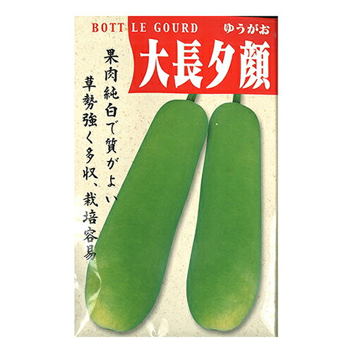かんぴょう 種 【 大長夕顔（大長かんぴょう） 】 小袋 ( かんぴょうの