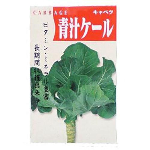 【 青汁ケール 】 種子 小袋（約4ml） （ 種 野菜 野菜種子 野菜種 ）