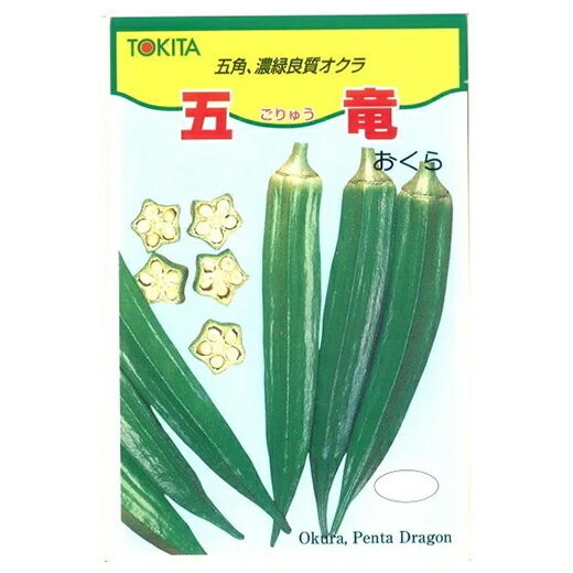オクラ 種 【五竜】 20ml （ 種 野菜 野菜種子 野菜種 ）
