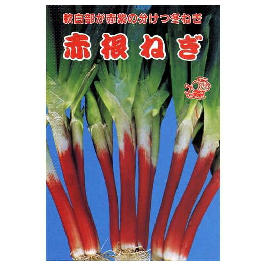 秋季蔬菜 - ネギ 種 【 赤根ねぎ 】 種子 小袋（約20ml） （ 種 野菜 野菜種子 野菜種 ）