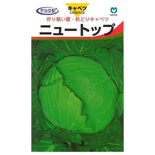 キャベツ 種 【 ニュートップ 】 種子 小袋（約0.8ml) （ 種 野菜 野菜種子 野菜種 ）