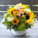 送料無料 爽やかなハーブとヒマワリの生花アレンジ お見舞い お祝い お誕生日 ヒマワリ 向日葵