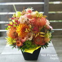 送料無料 プレゼント ハロウィン ピンクッションのシックモード生花アレンジ お見舞い お祝い お誕生日