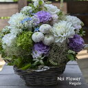 送料無料 花 アレンジメント 敬老の日 ピンポンマムのモダンセレモニー生花アレンジお供え花 洋花を使った旬のおまかせ供花【生花】お供え お悔やみ 仏事 法事 命...