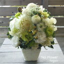 送料無料 お盆 お彼岸 お花 クールモダンなホワイト生花アレンジ お洒落アレンジ お供え花 洋花を使った旬のおまかせ供花【生花】お供え お悔やみ 仏事 法事 命...