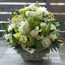 送料無料 お盆 お花 豪華なユリのセレモニー生花アレンジ 新盆 旧盆 お彼岸 お供え お悔やみ お供え花 洋花を使った旬のおまかせ供花【生花】 お供え お悔やみ...