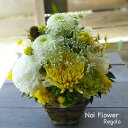 送料無料 花 アレンジメント 花 ホワイト&グリーンイエロー生花アレンジ お祝いお供え花 洋花を使った旬のおまかせ供花【生花】お供え お悔やみ 仏事 法事 命日...