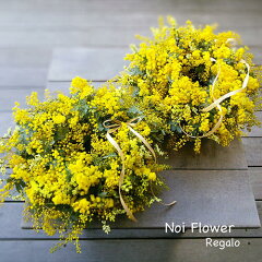 https://thumbnail.image.rakuten.co.jp/@0_mall/noi-flower-regalo/cabinet/seikawreath/imgrc0098873968.jpg