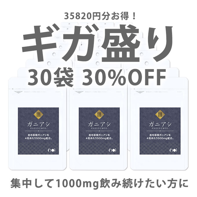 【30%OFF】noi ガニアシ サプリ 30袋セット