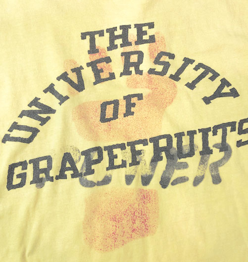 【バウワウ/BOW WOW】UNIV OF GRAPEFRUITS TEE（ユニバーシティーオブグレープフルーツティー）[BW2202-UGT]【id】【c100】【100円OFFクーポン利用可】 3