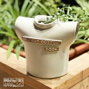 【ブラウンバイツータックス/BROWN by 2-tacs】オーガニックコットン100％Tee vase【送料無料】