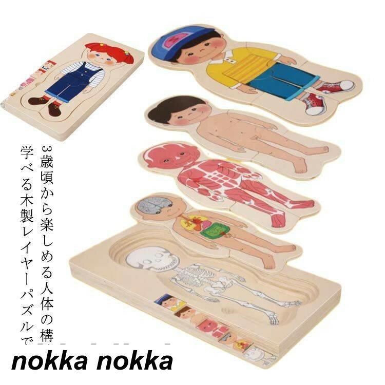 人体 男の子 構造 人体パズル 女の子 対象年齢3歳 学べる 木製レイヤーパズル 木のおもちゃ 知育玩具 木製人体パズル