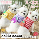 ハーネス リード リュック 2点セット 猫 犬 脱出防止 バッグ付き かばん 鞄 調節可能 メッシュ 小型犬 中型犬 猫用 犬用 犬具 胴輪 散歩 お出かけ おしゃれ かわいい ペット用 猫犬兼用 ペット ペットグッズ