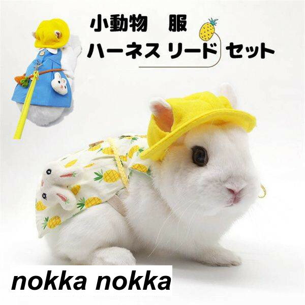 ハーネス リード 服 セット ウサギ 小動物 脱出防止 胴輪 散歩 お出かけ 写真撮り 道具 果物デザイン リード付き おしゃれ かわいい ペット用 小動物用 ペット ペットグッズ ウサギグッズ 小動物グッズ