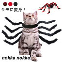 ペットコスプレ 猫 犬 クモ変身 犬用 蜘蛛 コスチューム クモの足 ハロウイン変 くも 黒 かわいい かっこういい 猫/小型犬 仮装 変身グッズ ハロウィン ...