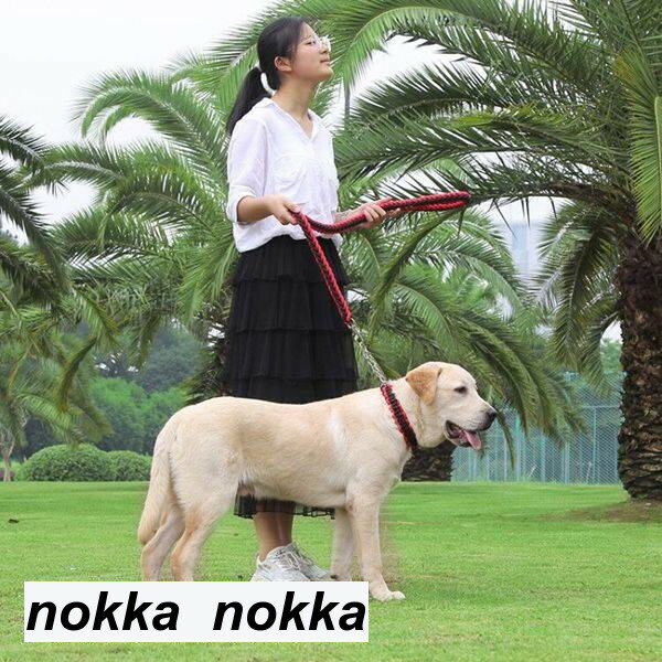 メール便犬用リード 首輪、引きひも 2点セット チェーンカラー イヌ かわいい お出かけ お散歩 実用品 ..