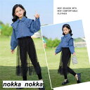 子供服 セットアップ キッズ 2点セット 女の子 長袖 春秋 上下セット トップス シャツ ロングパンツ 子供ジャージ レース おしゃれ 可愛い カジュアル ホ...