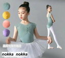 バレエ レオタード キッズレオタード キッズダンス衣装 子供バレエ 袖なし バレエ発表会 透け感 子供用衣装 ノースリーブ 演出用 ホワイトデー