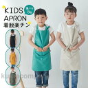 エプロン キッズ ポケット付き 首掛け 綿100% 子供用エプロン キッズ用エプロン 小学生 男の子 女の子 無地 洗濯可能 かわいい お手伝い