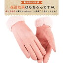 手袋 秋新作 スマホ手袋 吸湿発熱 レディース 冬 防寒 暖かい 裏起毛 柔らかい 厚手 手ぶくろ グローブ 自 母の日 プレゼント