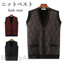 THOM WILLS ニットベスト メンズ 裏起毛 秋冬 大きいサイズ 前開き リブ おしゃれ Vネック ゆったり レイヤード 厚手 暖かい 防寒 保温 シンプル 重ね着