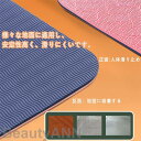 新生活 ヨガマット ケース バンド 付き 厚手 6mm 抗菌 ピラティスマット 筋トレ エクササイズ ヨガ ストレッチ トレーニング ダイエット ストレッチマッ...
