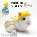 スーパーSALE10%off 新生活 ハーネス リード 服 セット ウサギ 小動物 脱出防止 胴輪 散歩 お出かけ 写真撮り 道具 果物デザイン リード付き お...