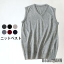 新生活 ニットベスト メンズ ベスト ノースリーブ Vネック 無地ベスト ゆったり ゆるニット ゆるベスト 重ね着 トップス プルオーバー レイヤード 春秋 秋...