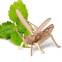 全8種類セット 3D 立体 木製 昆虫パズル 夏休み 自由研究 昆虫 虫 標本 図鑑 迫力満点 簡単 DIY 木製玩具 知育玩具 おもちゃ パズル プレゼント 誕生日 クリスマス 在宅 巣ごもり 家遊び 暇つぶし
