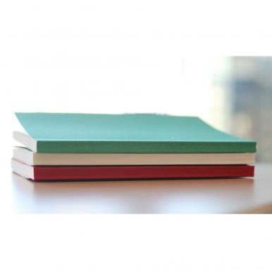 【2/19 20時〜ポイント10倍】【公式通販限定】ミニメモ2(名刺サイズ ミシン目入り) [TNT108] ノルティ ..