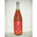 天吹 ブラッドオレンジ梅酒 アポロン BLOOD ORANGE AMABUKI APOLLON 1800ml 9度 