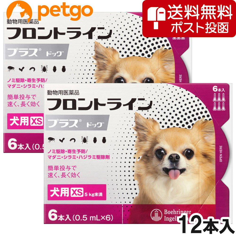 【ネコポス(同梱不可)】【2箱セット】犬用フロントラインプラスドッグXS 5kg未満 6本（動物用医薬品） 【あす楽】