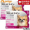 【ネコポス(同梱不可)】【2箱セット】犬用フロントラインプラスドッグXS 5kg未満 6本(動物用医薬品)