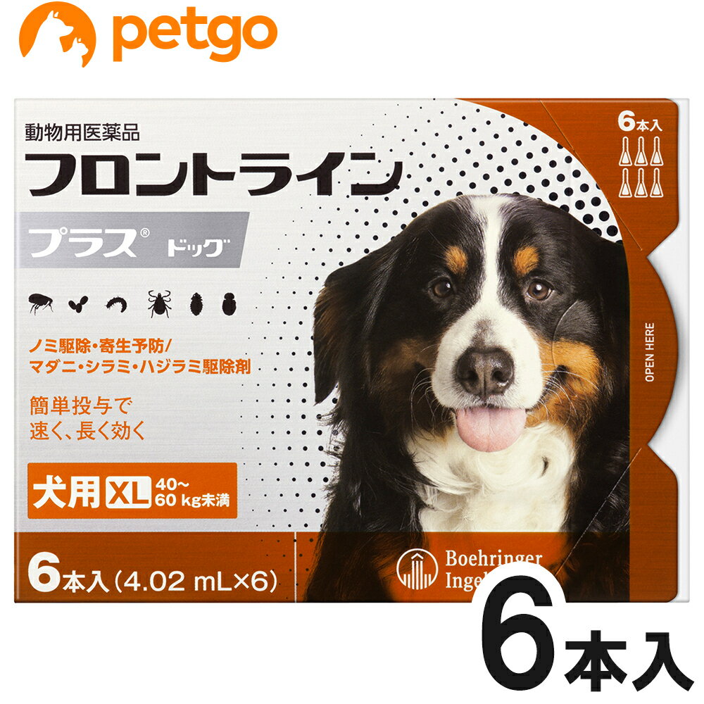 犬用フロントラインプラスドッグXL 40kg～60kg 6本（6ピペット）（動物用医薬品）【あす楽】