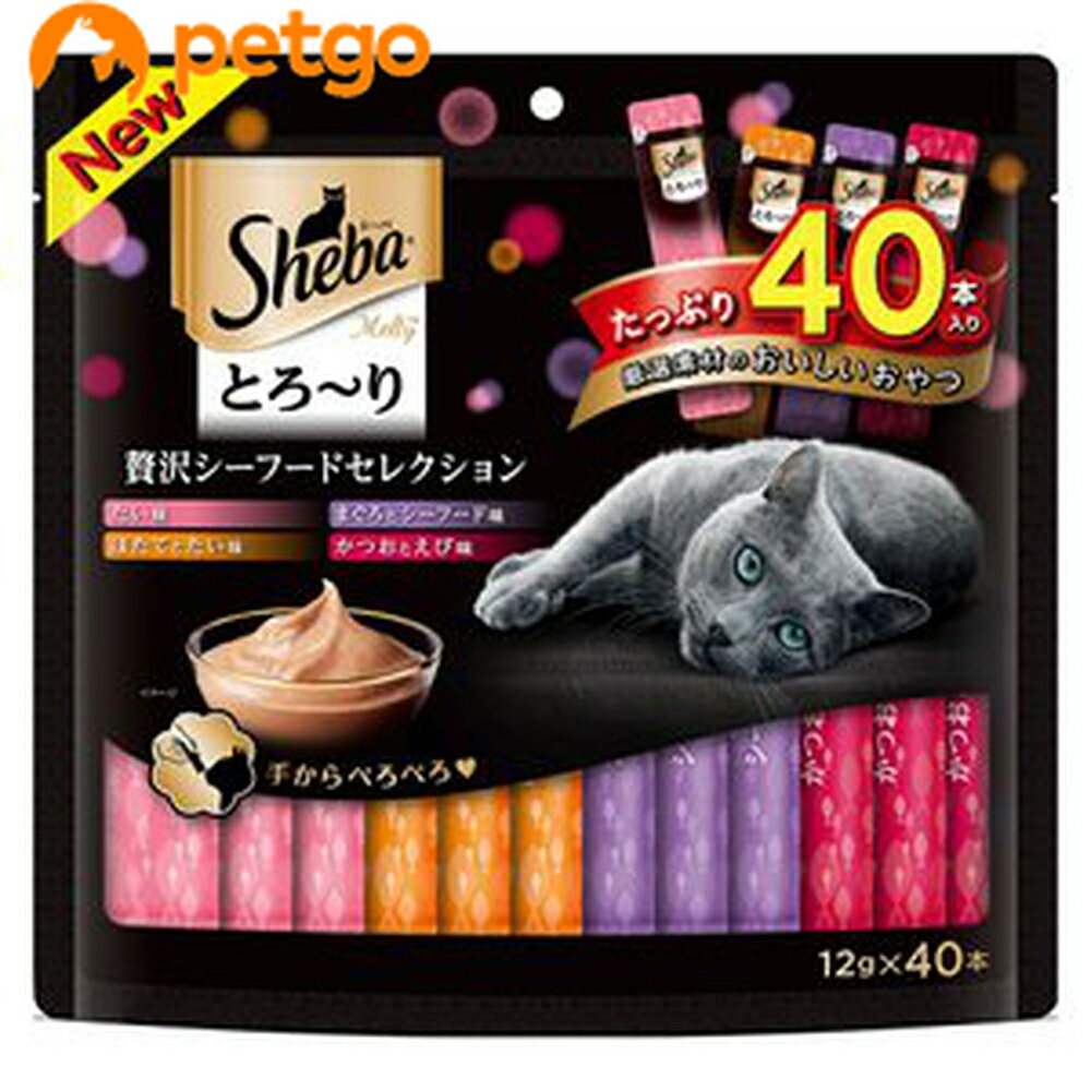 ������ �Ȥ����� ���ƥ� ���������ա��ɥ��쥯����� 12g��40P