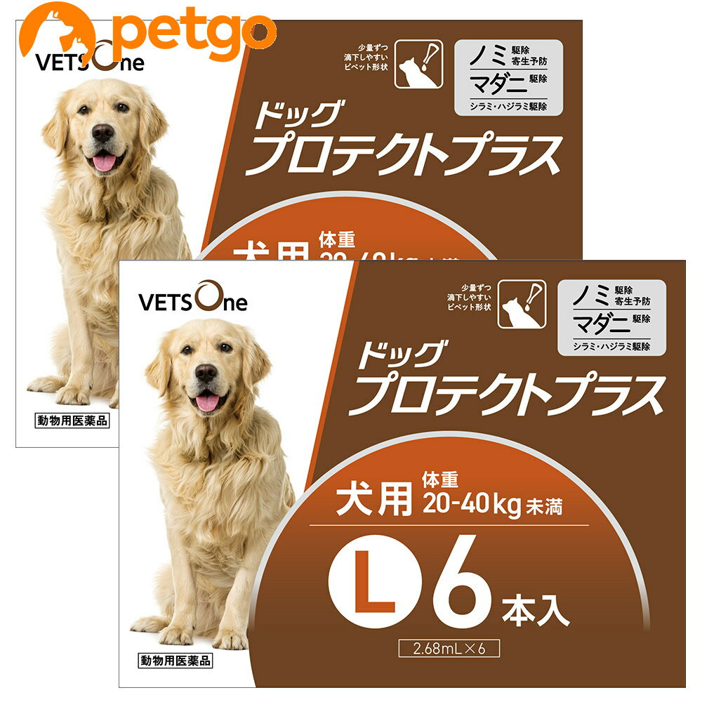 【2箱セット】ベッツワン ドッグプロテクトプラス 犬用 L 20kg～40kg未満 6本 動物用医薬品 【あす楽】