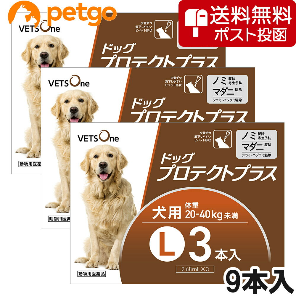 【ネコポス(同梱不可)】【3箱セット】ベッツワン ドッグプロテクトプラス 犬用 L 20kg〜40kg未満 3本 (動物用医薬品)【あす楽】