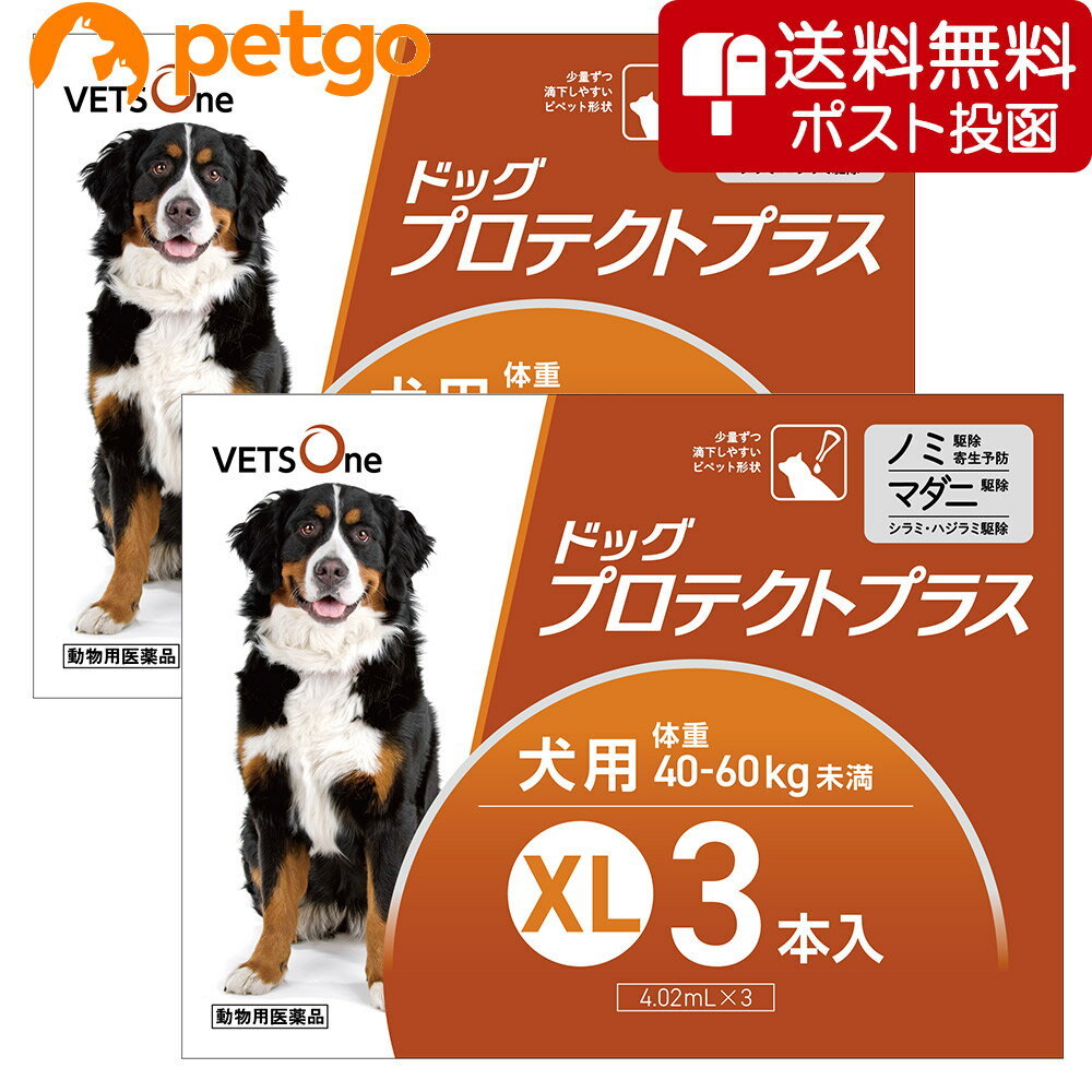 【ネコポス(同梱不可)】【2箱セット】ベッツワン ドッグプロテクトプラス 犬用 XL 40kg～60kg未満 3本 (動物用医薬品…