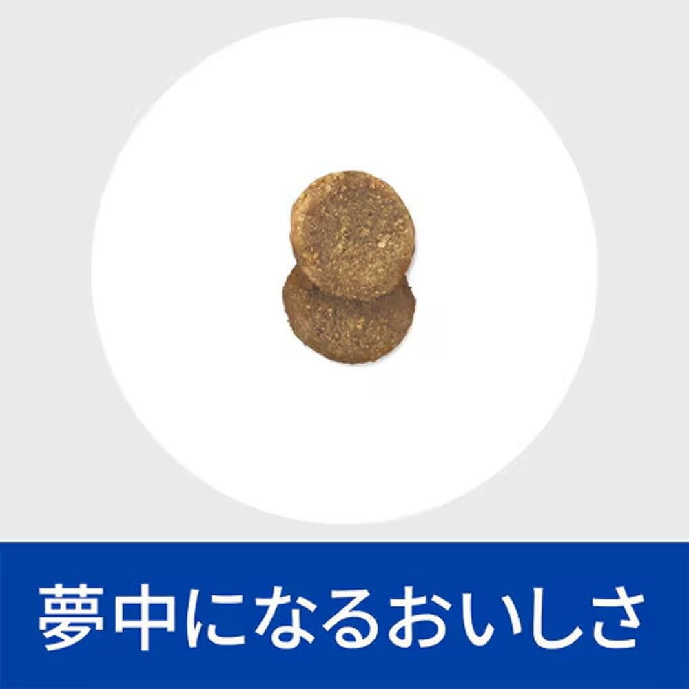 ヒルズ猫用腸内バイオーム繊維/消化ケアドライ500g【あす楽】