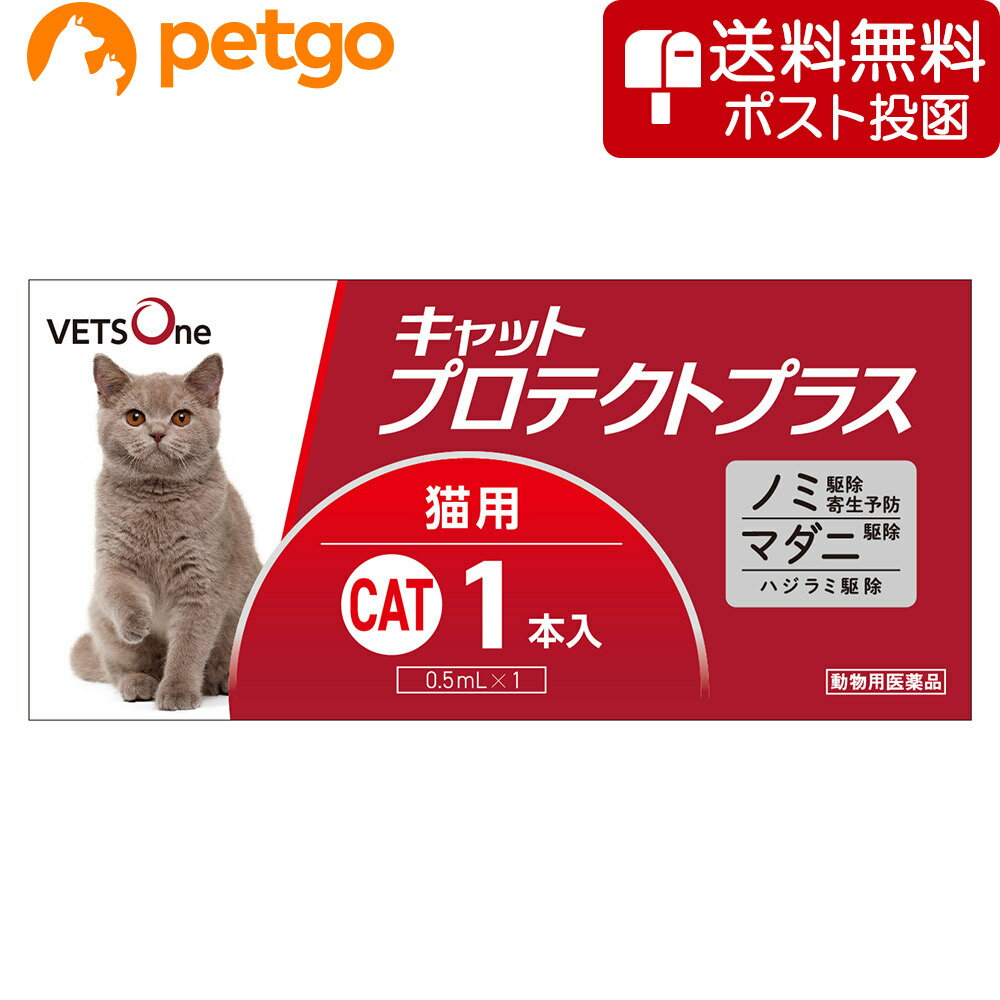 【ネコポス(同梱不可)】ベッツワン キャットプロテクトプラス 猫用 1本 (動物用医薬品)【あす楽】