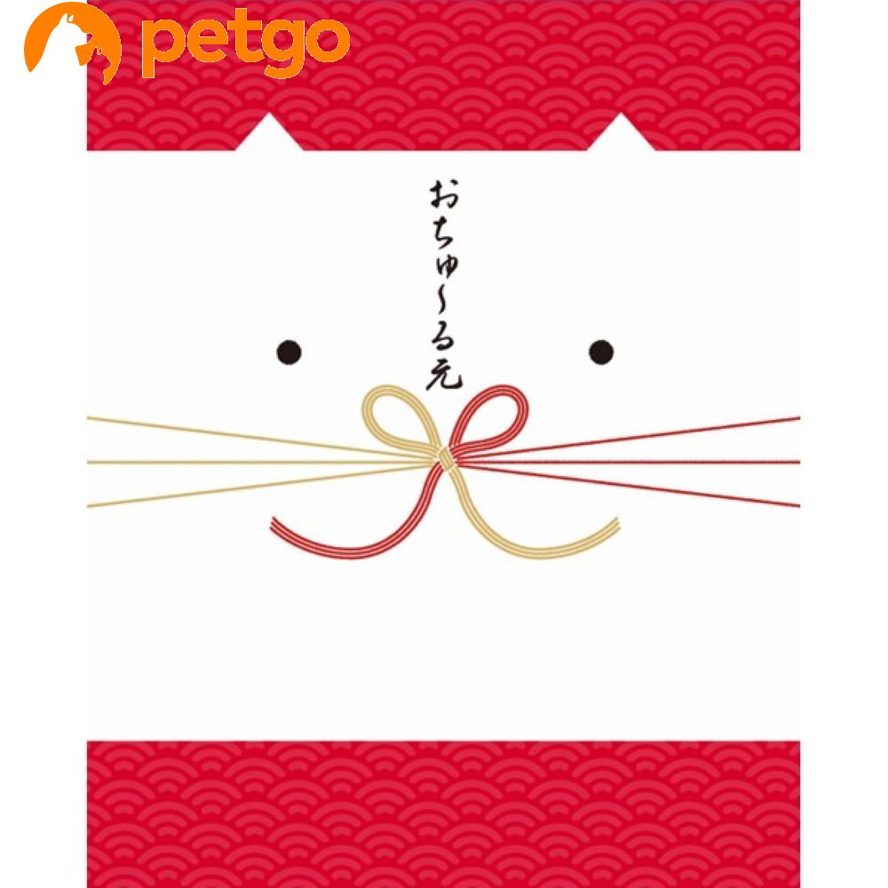 CIAO(チャオ) おちゅ～る元 2024【数量限定セット】【在庫限り】