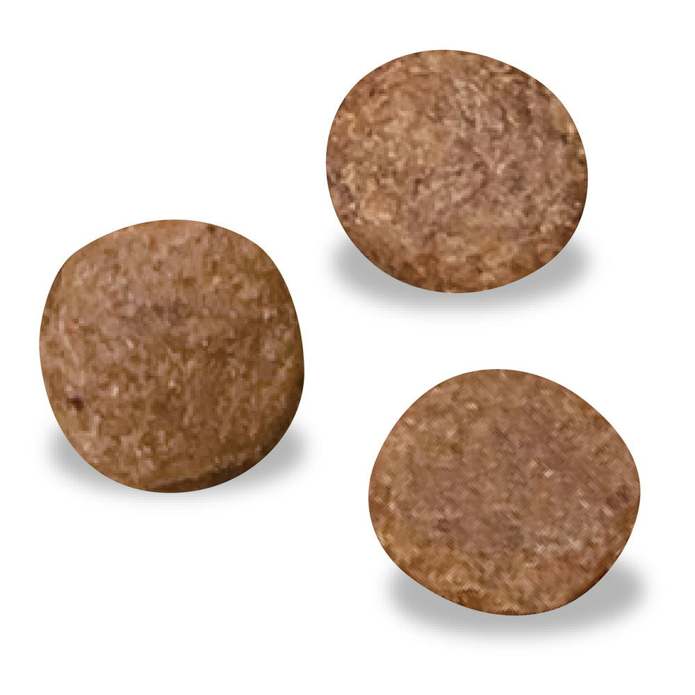 ベッツウェル 食事療法食 犬用 腎臓ケア 1kg