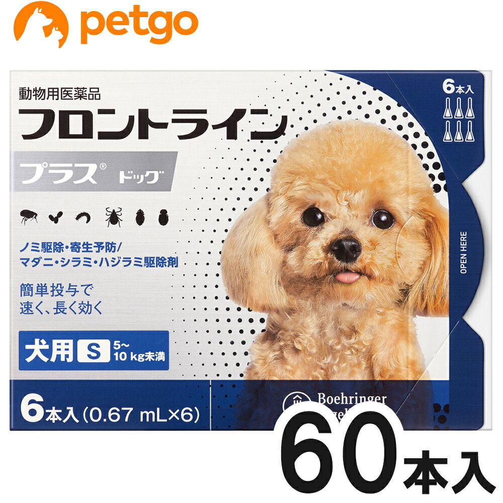 【10箱セット】犬用フロントラインプラスドッグS 5～10kg 6本（6ピペット）（動物用医薬品）