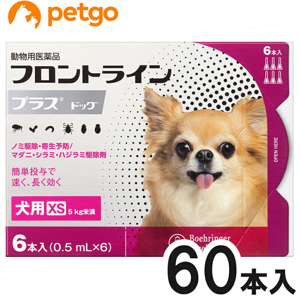 【使用期限：2026年1月の商品を出荷させていただきます。】【沖縄県へのお届けは陸送でのお届けとなります。お届けまでに約一週間程度かかりますので、あらかじめご了承ください。】 必ず製品の添付文書をよく読み用法用量を守って正しくご使用ください。セットでの販売の商品になります。単品での返品は一切お受けしておりません。あらかじめご了承くださいませ。フロントライン プラスは、従来のフロントライン同様に、ペットに寄生した成ノミやマダニを速やかに駆除。加えて、新配合の（S）-メトプレンがノミの卵の孵化・発育まで阻止するダブルの効果で、寄生中のノミだけでなく、その繁殖・再寄生を予防します。また、犬のシラミとハジラミを駆除する効果も確認されています。 ■効能効果：犬：ノミ、マダニ、シラミ及びハジラミの駆除ノミ卵の孵化阻害及びノミ幼虫の変態阻害によるノミ寄生予防 ■用法用量：8週齢以上の犬の肩甲骨間背部の被毛を分け、皮膚上の1部位に直接次のピペット全量を滴下する。体重／容量規格5kg未満／未満／0.5mL入りピペット10kg未満／0.67mL入りピペット10～20kg未満／1.34mL入りピペット20～40kg未満／2.68mL入りピペット40～60kg未満／4.02mL入りピペット ■使用上の注意：一般的注意（1）本剤は効能・効果において定められた目的にのみ使用すること。（2）本剤は定められた用法・用量を厳守すること。（3）本剤は獣医師の指導の下で使用すること。（4）犬以外の動物には使用しないこと。特にウサギには使用しないこと。犬に対する注意1.制限事項（1）衰弱、高齢、妊娠中あるいは授乳中の犬には、慎重に投与すること。（2）本剤使用後1日間は、水浴あるいはシャンプーを控えることが望ましい。2.副作用（1）もし、動物が舐めた場合、溶媒の性状のため一過性の流涎が観察されることがある。そのため、滴下部位を他の動物が舐めないように注意すること。（2）まれに、他の外用殺虫剤と同様に本剤の使用後、個体差による一過性の過敏症（投与部位の刺激によるそう痒、発赤、脱毛）が起こることがある。もし、症状が持続または悪化する場合は、直ちに獣医師に相談すること。 ■保管上の注意：（1）小児の手の届かないところに保管すること。（2）直射日光を避け、なるべく湿気の少ない涼しいところに保管すること。 ■主成分：1mL中フィプロニル 100.0mg（S）－メトプレン 90.0mg ■JANコード：4987743500423 ■原産国：フランス ■メーカー：ベーリンガーインゲルハイム ■区分：動物用医薬品 ■広告文責：ペットゴー株式会社　0120-958-046 ■更新日時：2024/03/28 10:06:32 ＜免責事項＞本サイトに掲載されている商品情報は、商品パッケージやカタログ、またはメーカーから提供された情報に基づくものであり、その内容について当社は責任を負いかねます。これらについてのお問い合わせはメーカーに直接行っていただきますようお願いいたします。また、メーカーによる仕様変更に伴い商品の表記と実際の仕様が異なる場合がございます。