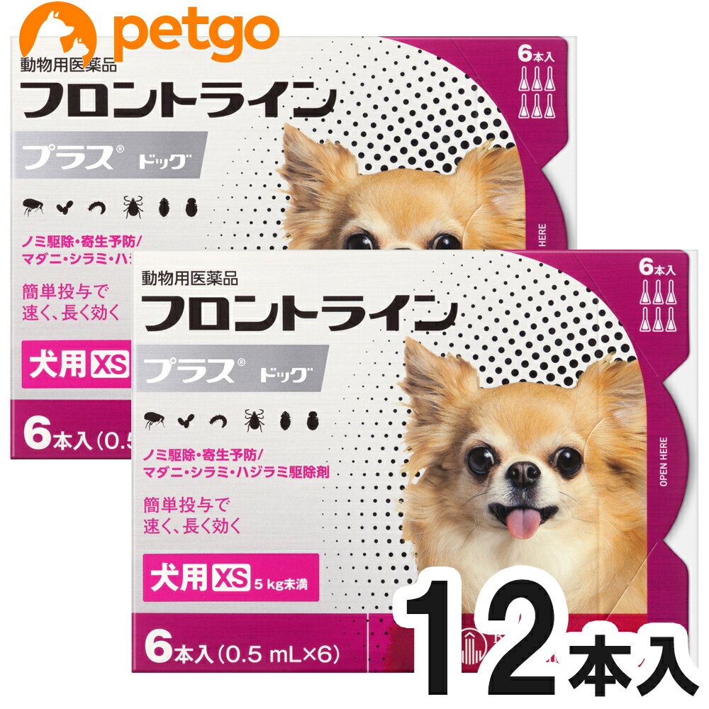 楽天ペットゴー 3号館 楽天市場店【2箱セット】犬用フロントラインプラスドッグXS 5kg未満 6本（6ピペット）（動物用医薬品）【あす楽】