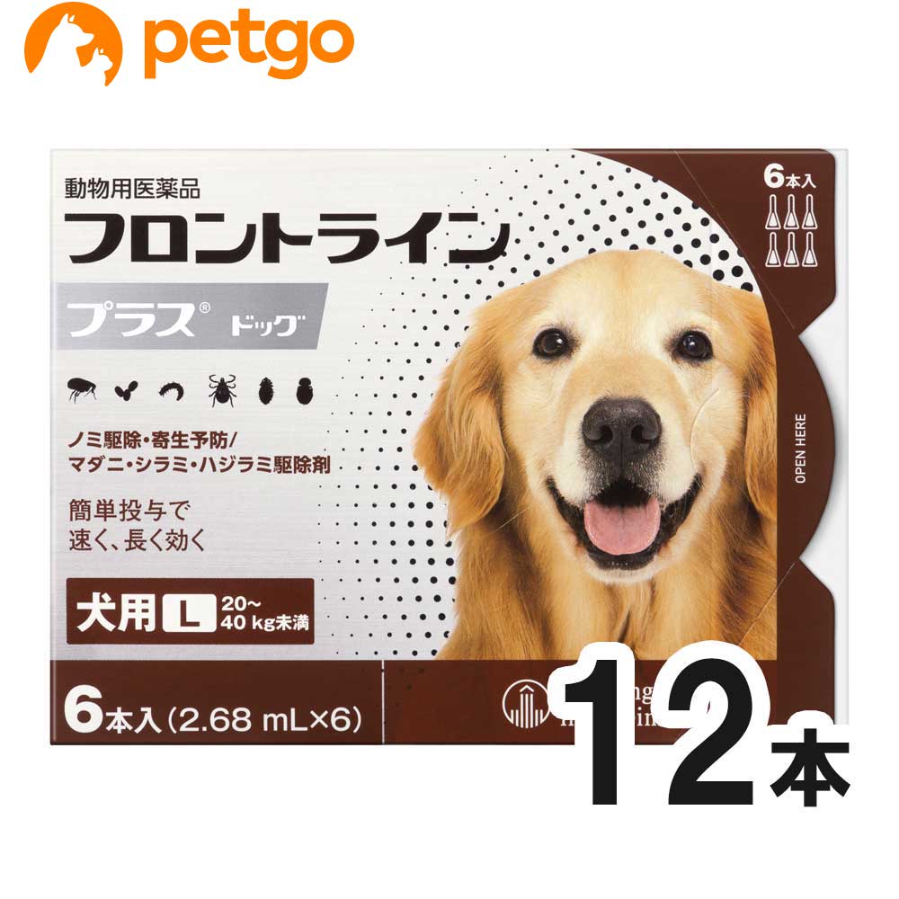 【2箱セット】犬用フロントラインプラスドッグL 20kg～40kg 6本 6ピペット 動物用医薬品 【あす楽】